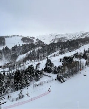 Sneeuw- en skisporten