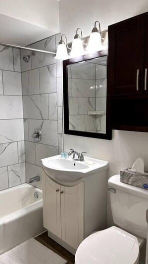 Bathroom with Marble Surround