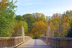 Theodore Roosevelt Island