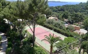 Sport court