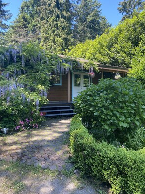 Wisteria Porch