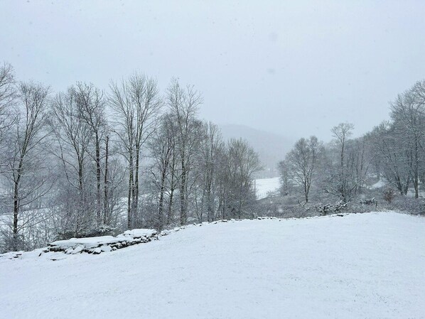 Deck view in the winter
