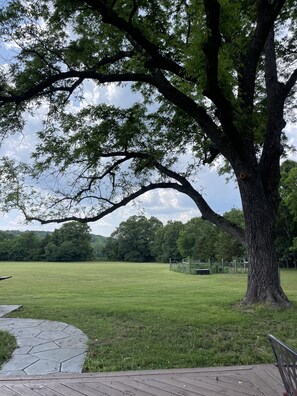 Field and garden