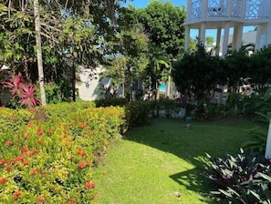 Peaceful and spectacular Garden view from the terrace!