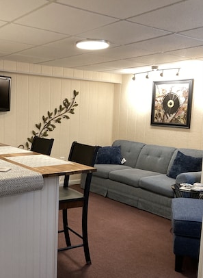 Living area showing the sleeper sofa.