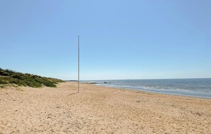 area