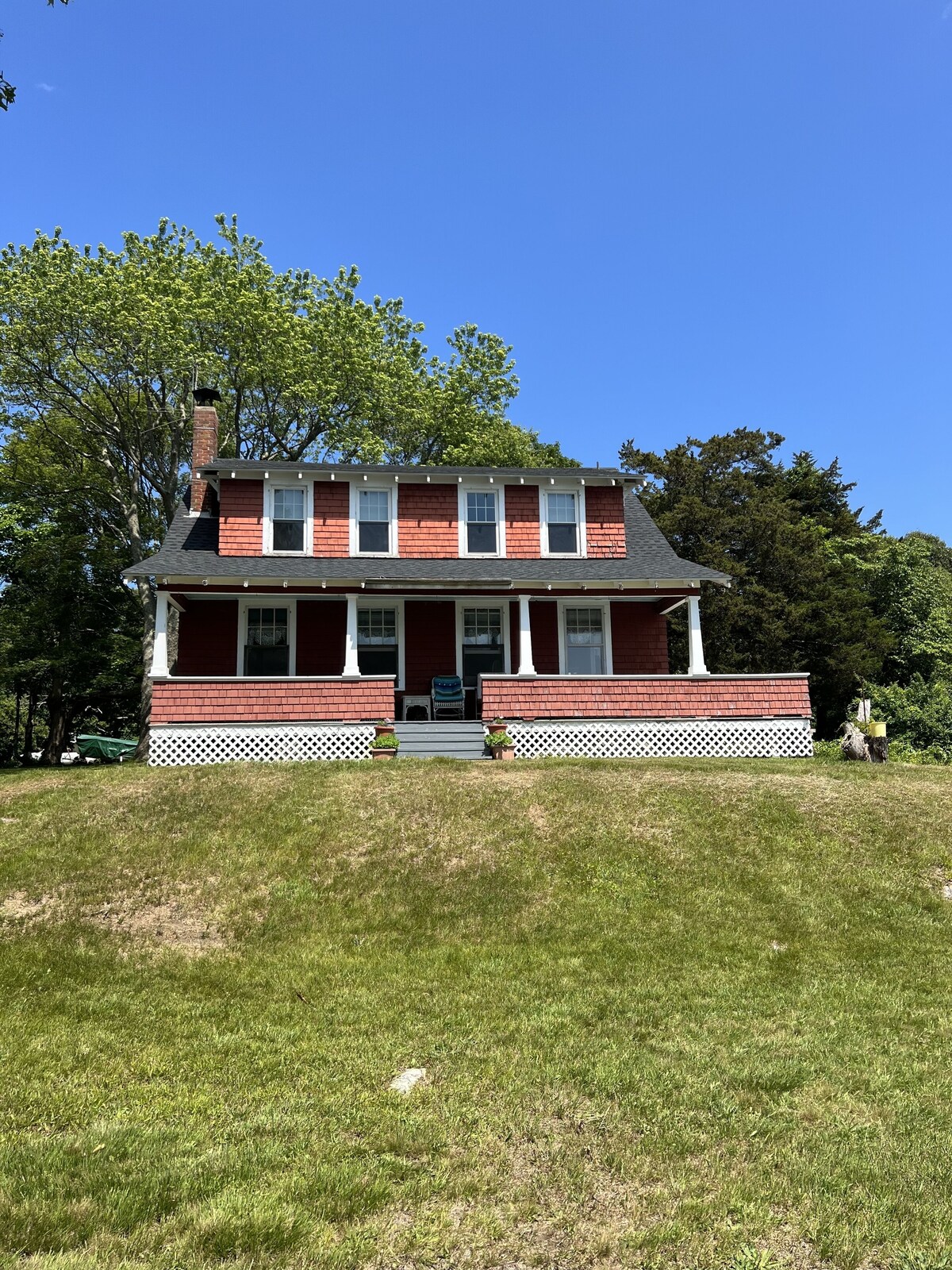 Main Image