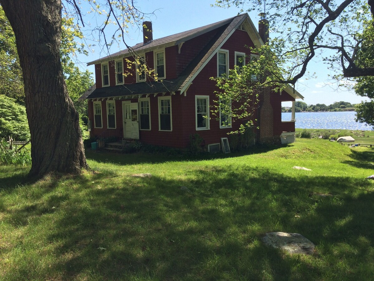 Main Image