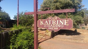 Katrine Sign