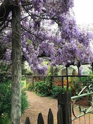 Various Garden Views