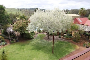 Various Garden Views