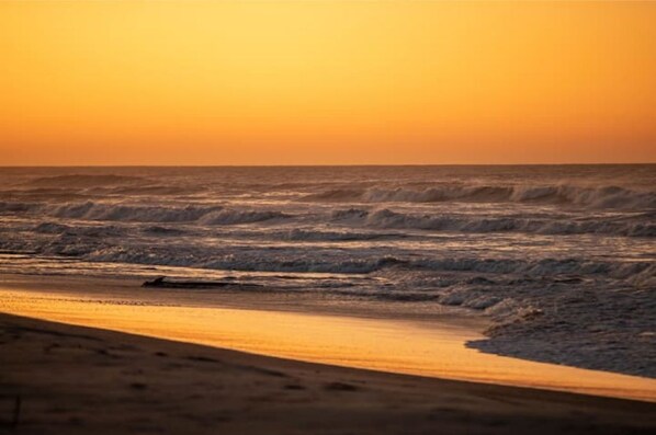 Strand