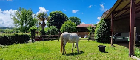 Jardines del alojamiento