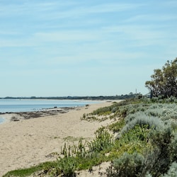 Strand