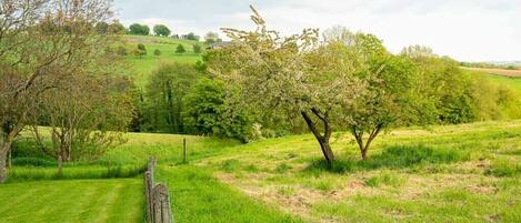 Terrain de l’hébergement 