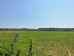 Boendeområde