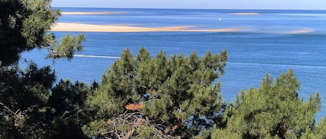 Utsikt mot havet/stranden