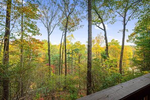 The fall weather and tall trees provide the perfect setting for a cozy getaway