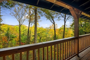 Enjoy the fall weather surrounded by tall trees