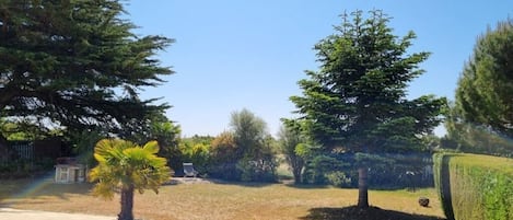 vue sur jardin 