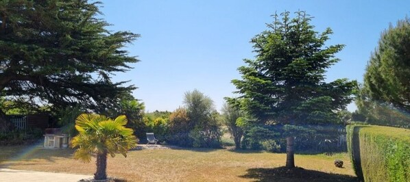 vue sur jardin 