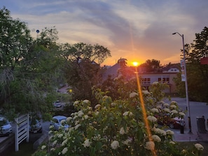 Vista desde la habitación