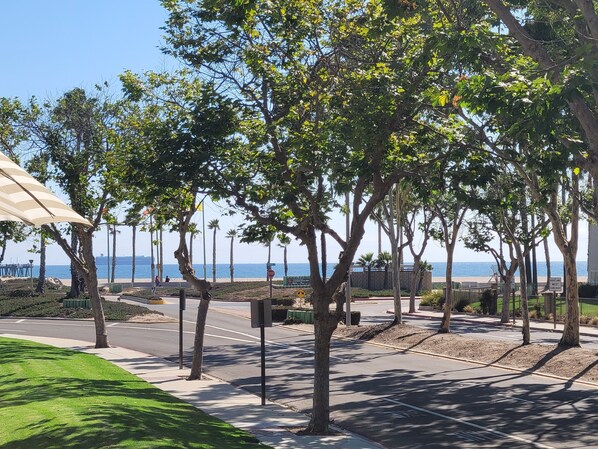 Beautiful Beach Views from Balcony