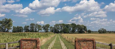 Private road leading to SOHL FARM