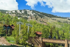 Views