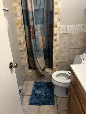 Master bedroom restroom 