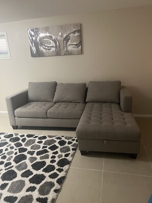 Basement living rooms 