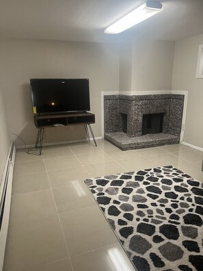 Basement living rooms 