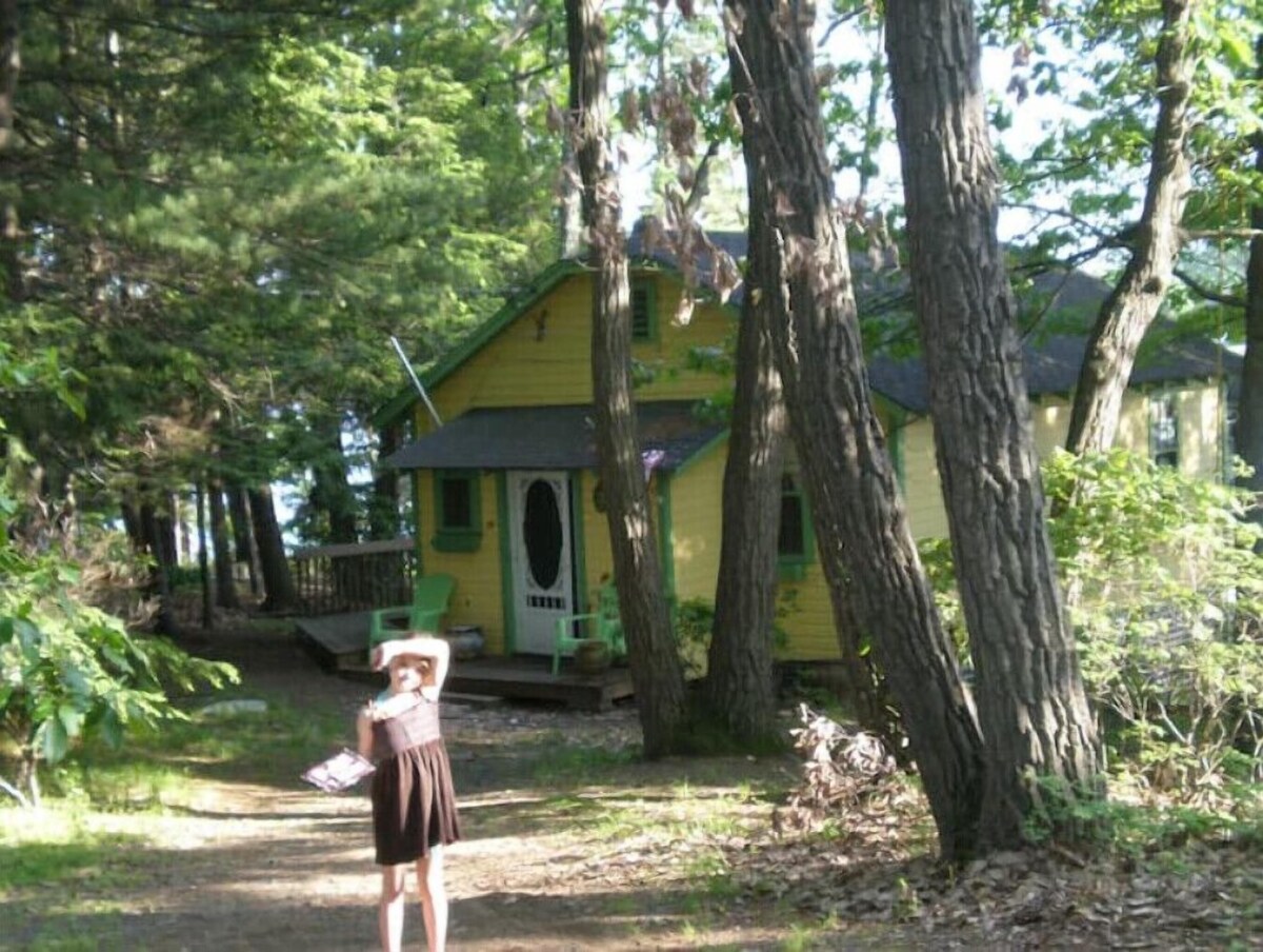 Main Image