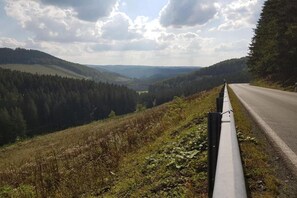 Region [summer] (&gt;5 km)