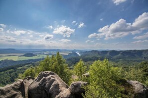 Region [summer] (&gt;5 km)