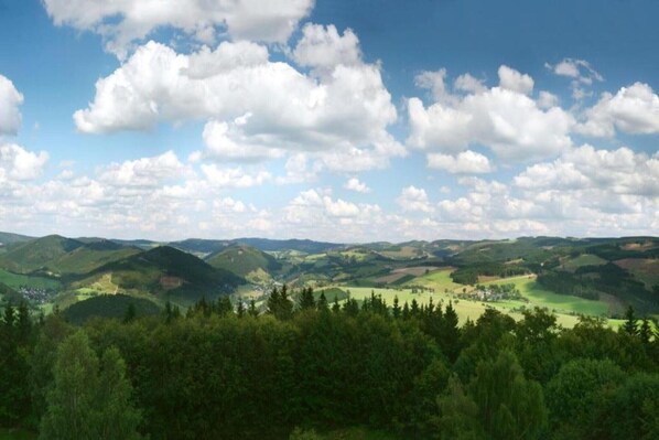 Region [summer] (&gt;5 km)