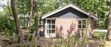 Extérieur maison de vacances [été]