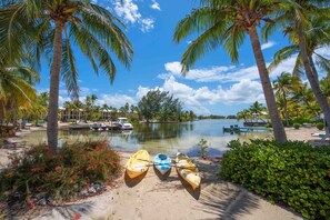 3 free kayaks are provided to explore the glowing waters of Bio Bay. 