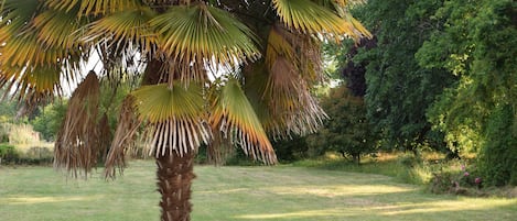 Jardines del alojamiento