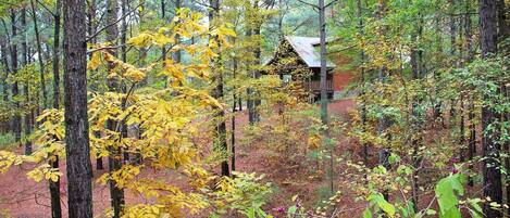 Bear's Den located on our private 40 acres shared with 6 other cabins.