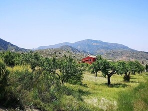 Rodeado de montañas y árboles