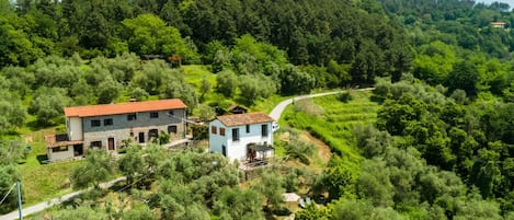 Außenseite Ferienhaus [Sommer]