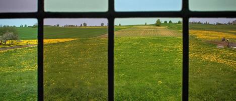 Aussicht vom Ferienhaus [Sommer]