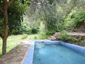 Holiday Home Swimming Pool