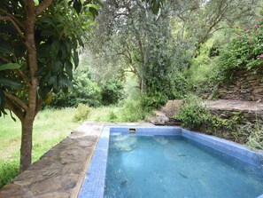 Holiday Home Swimming Pool