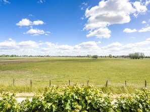 Omgeving [zomer] (1-5 km)