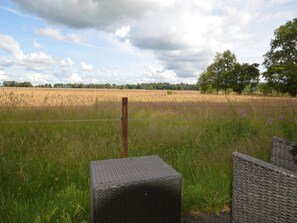 Aussicht vom Ferienhaus [Sommer]