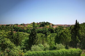 Aussicht vom Ferienhaus [Sommer]