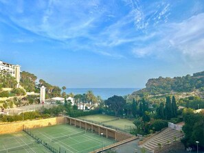 Bird's eye view,Tennis court,Garden view
