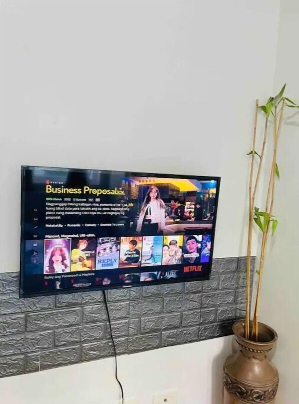 Television